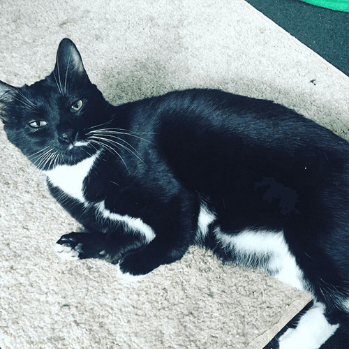 jack