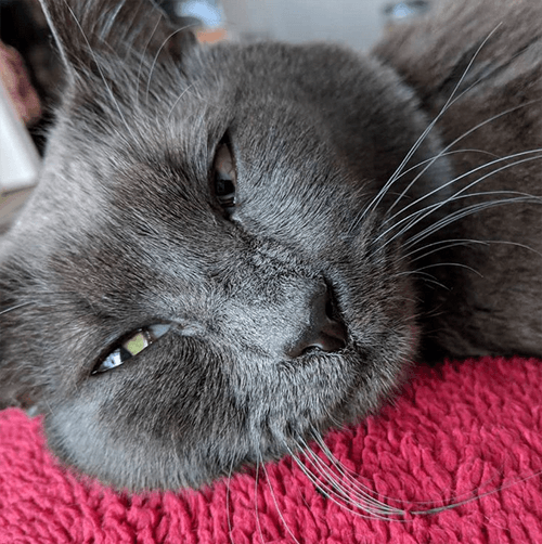 misterb