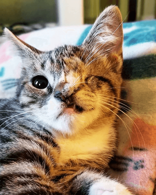 fiona