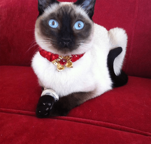 keiko