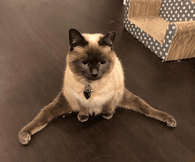 sabrina feature