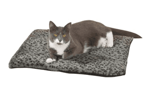 catbed