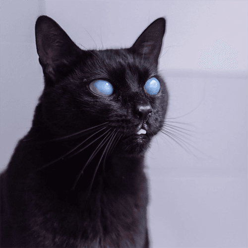 nebula