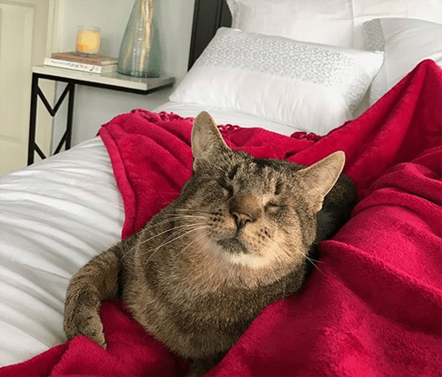 morty