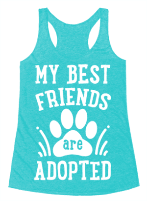catshirt