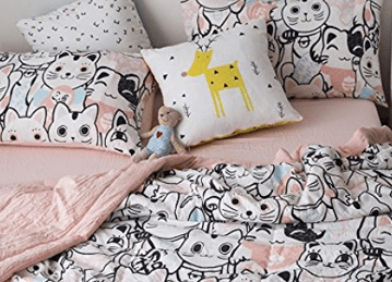 cat comforters college feature