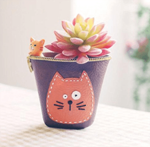 catplanter