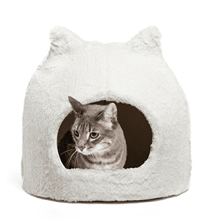 catbed