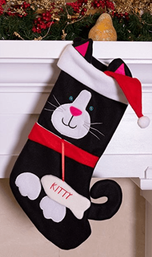 catstocking