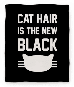 catblanket