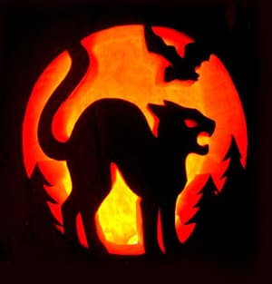 catpumpkin