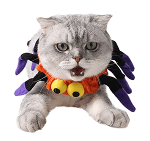 catcostume