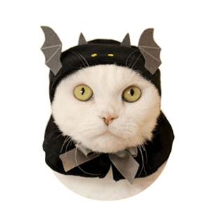 catcostume