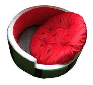 watermeloncatbed