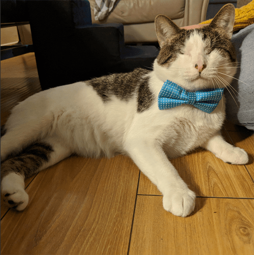 melvin