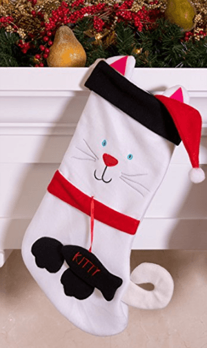 catstocking