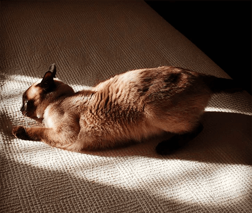 keiko