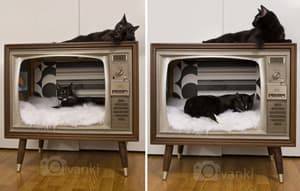diycatbed
