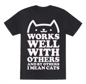 catshirt
