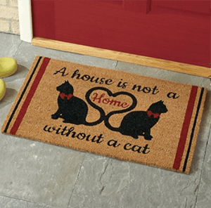 catdoormat