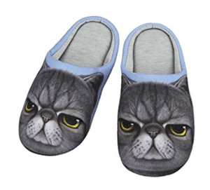 catslippers