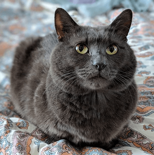 misterb