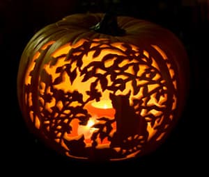 catpumpkin