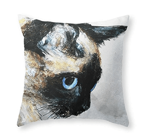 pillow