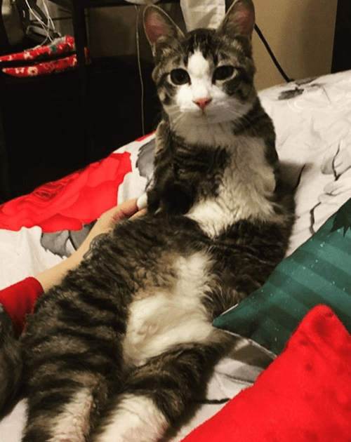 migi