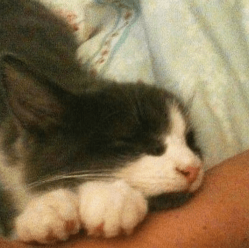 louie