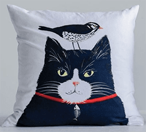 pillow