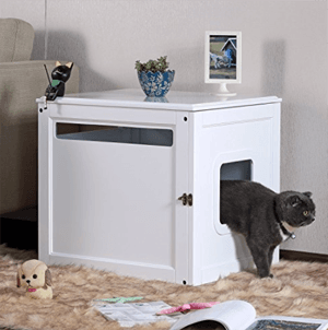 litterbox