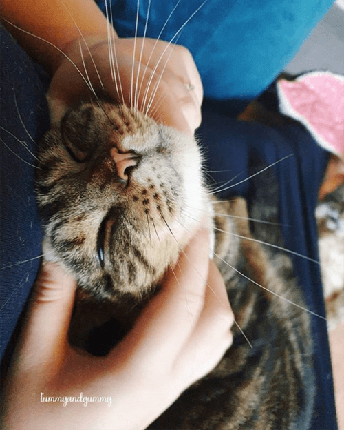 leo