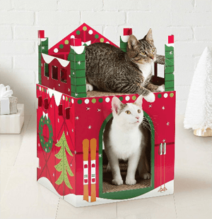 cathouse