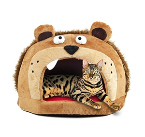 cool unique cat beds