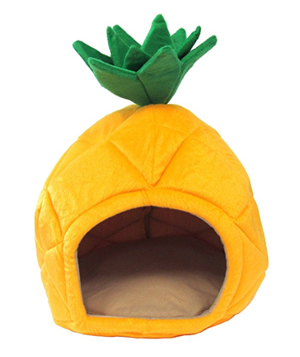 cool unique cat beds