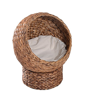 cool unique cat beds