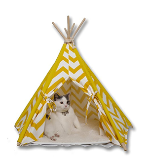 cool unique cat beds