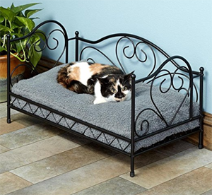 cool unique cat beds