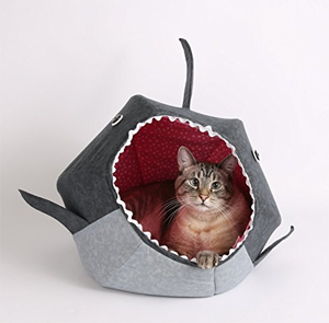 cool unique cat beds