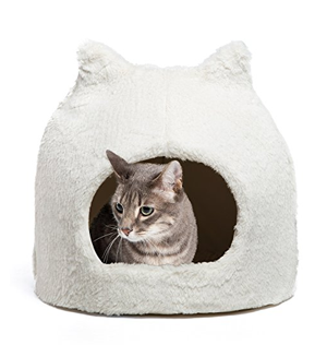 cool unique cat beds