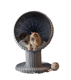 cool unique cat beds