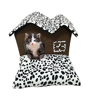 cool unique cat beds