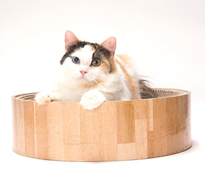 cool unique cat beds