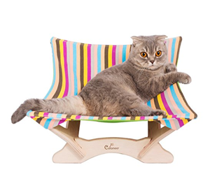 cool unique cat beds