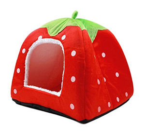 cool unique cat beds