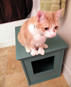 diy litter box cabinet cat
