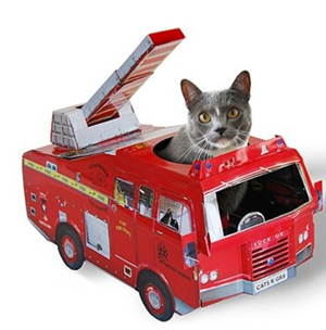 cardboard cat houses