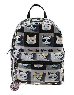 cat backpack for two cats