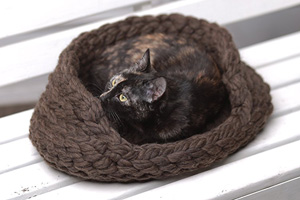 handmade cat beds